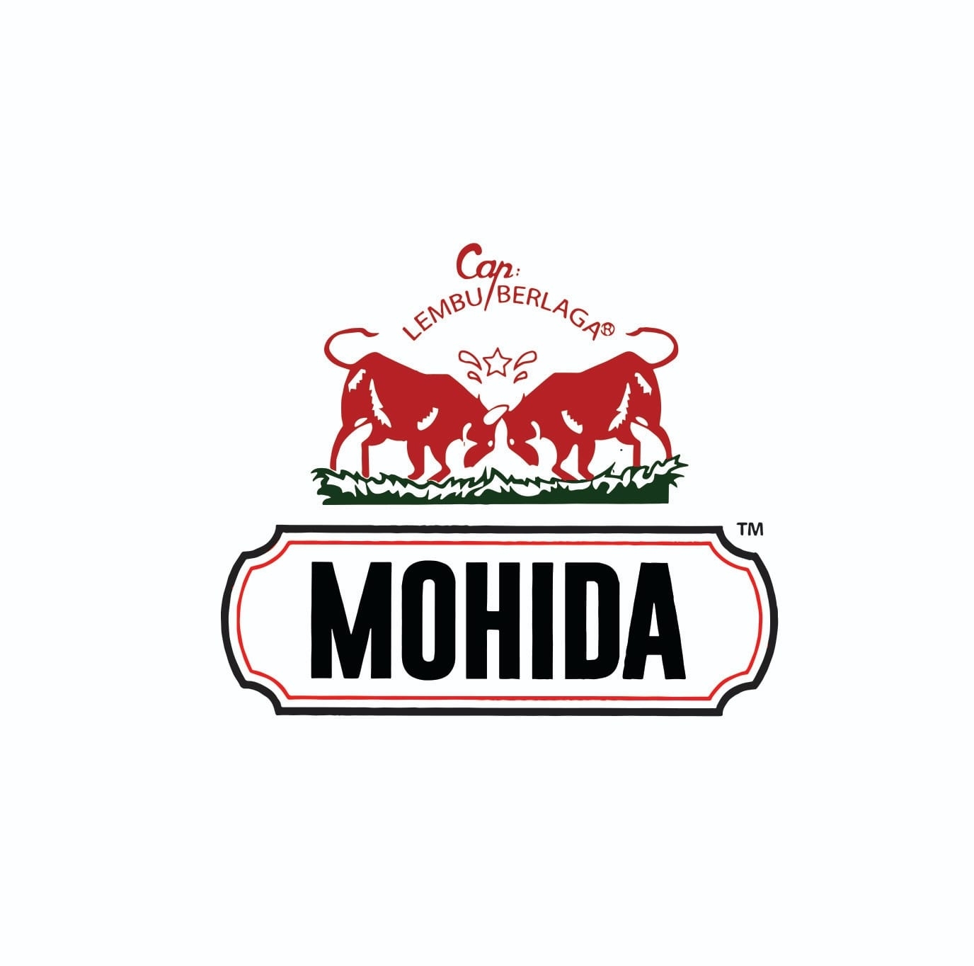 Mohida Logo